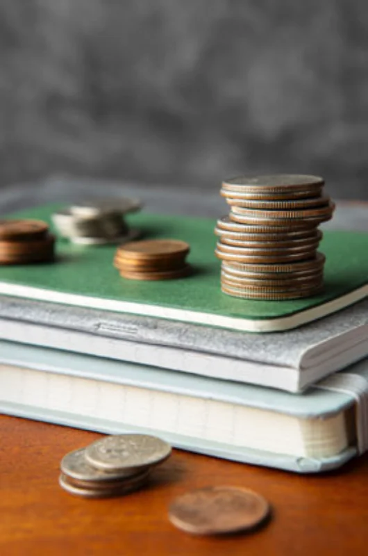 Assessoria contábil e fiscal na Zona Sul