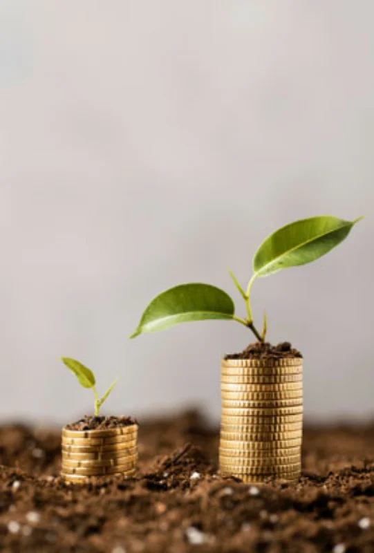 Consultoria financeira em São Paulo