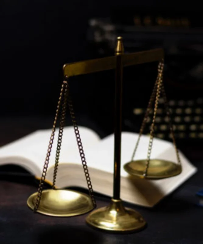 Contabilidade especializada